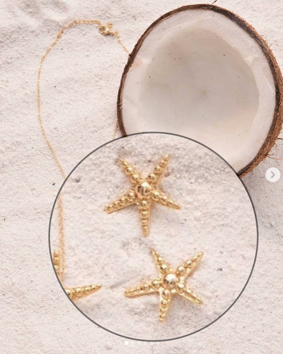 Aros estrellita de mar